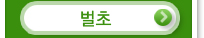 벌초
